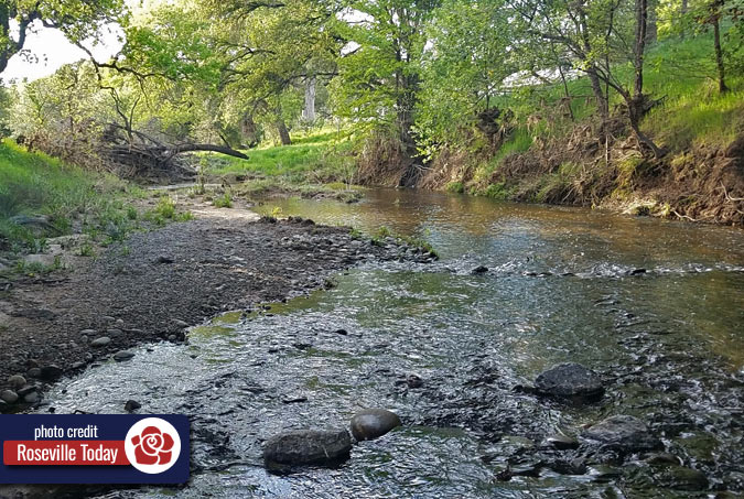creek flows in Roseville