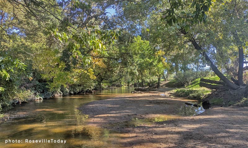Dry Creek Park