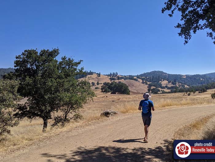 Summer Hike