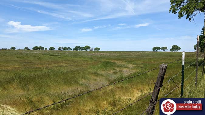 Fence and meadow