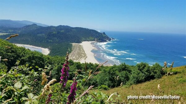 Cascade Head a terrific hike on the Oregon coast - Roseville Today