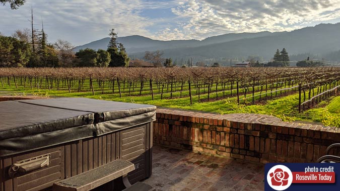 Vineyard view from Harvest Inn