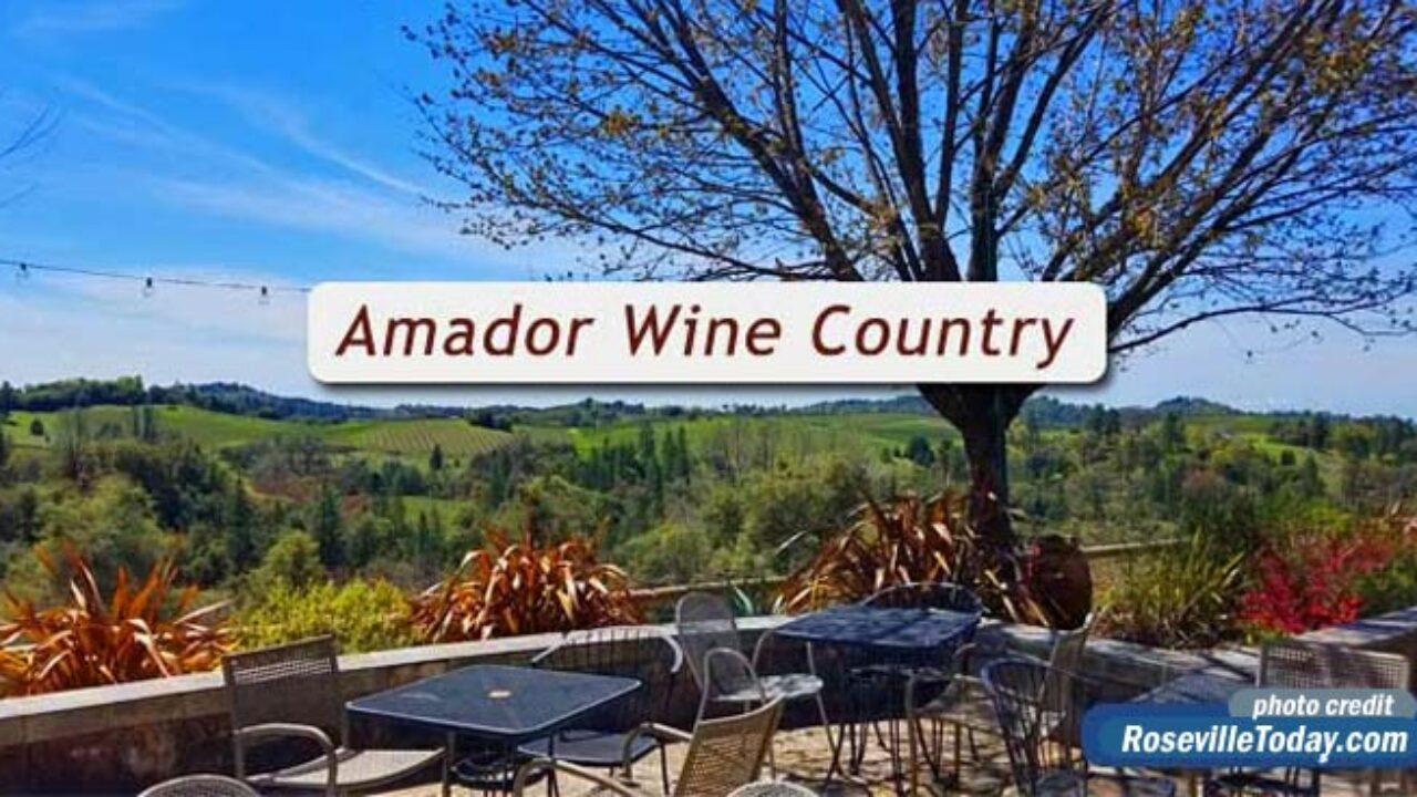 Amador wine store