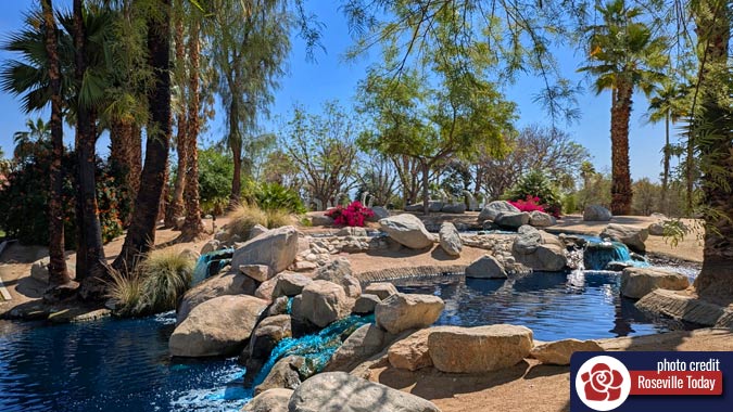 landscaping with water features and flower, palm trees