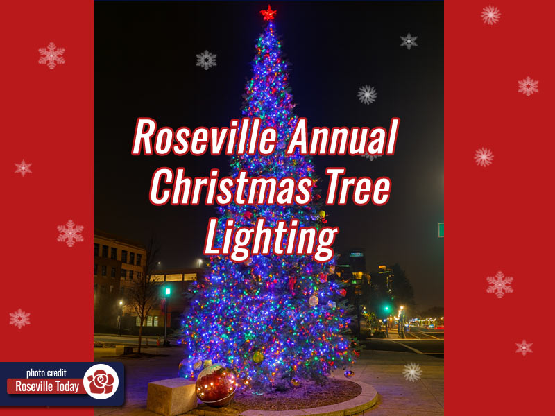 Roseville Christmas Tree Lighting Downtown Holiday Tradition