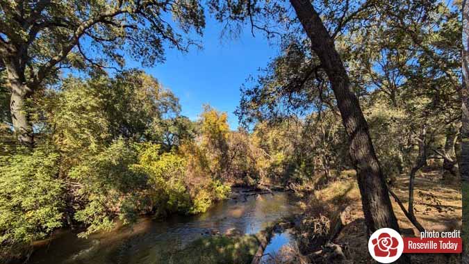 Dry Creek in Roseville