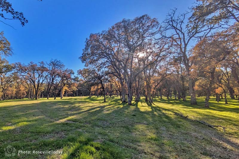 Open Spaces