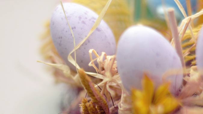 colored eggs in an Easter basket