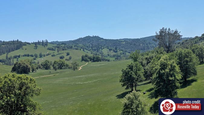 Trees and grass covered hills during spring