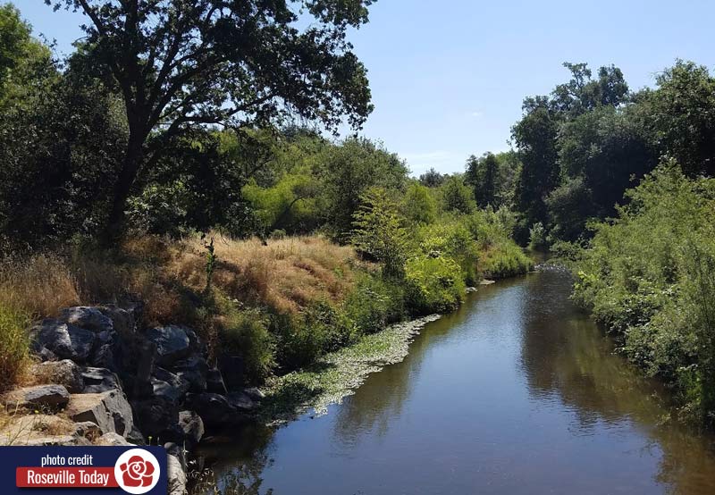 creek running near Miner's Ravine Trail