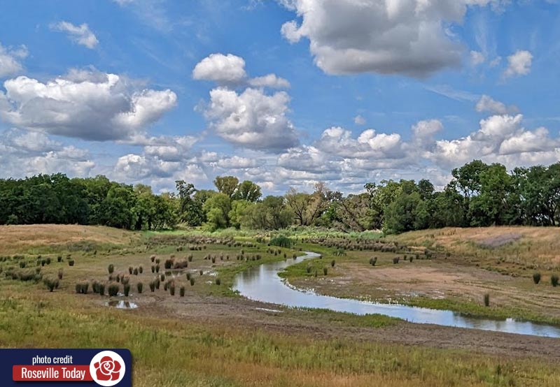 creek and marsh area in west Roseville