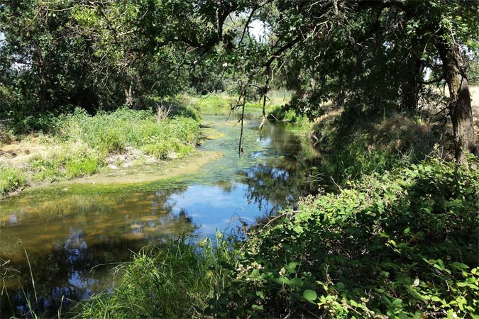 Mourier West wetlands
