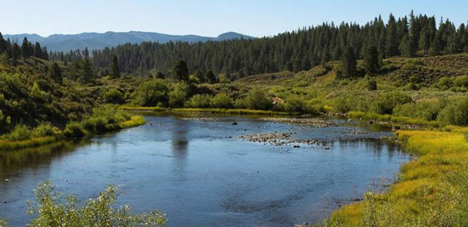 Martis Valley Groundwater ecosystem
