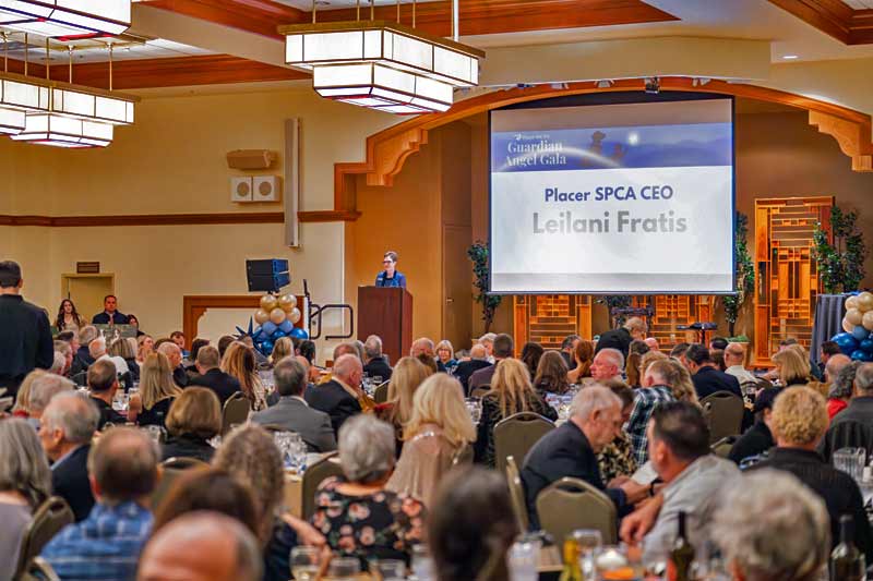 Placer SPCA CEO speaking at annual event
