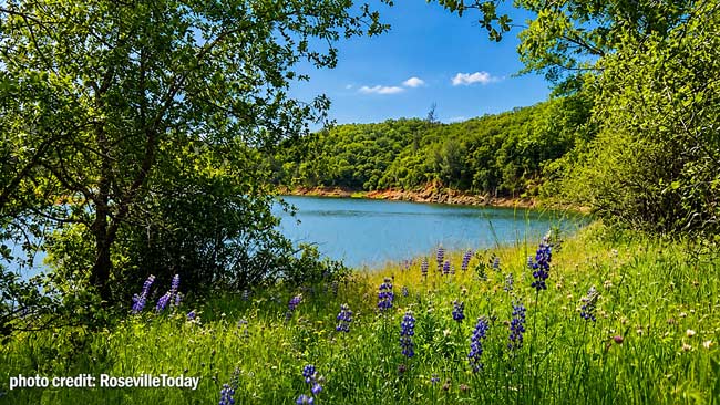 Avery's Pond hike during spring