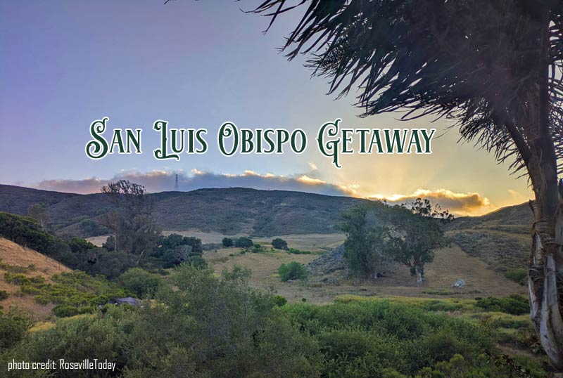 View from the room at Courtyard Inn San Luis Obispo