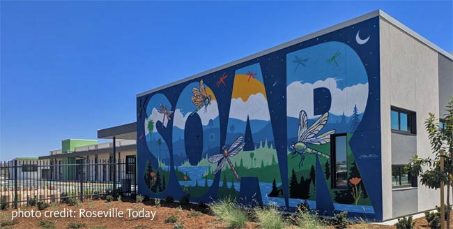 giant painted mural "SOAR" dragonflies